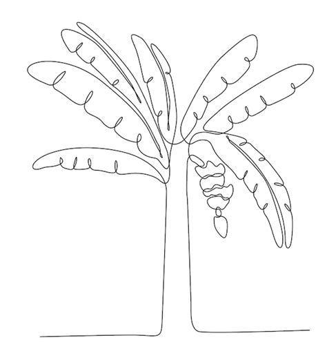 Premium Vector | One line drawing of a lush and succulent banana tree ...