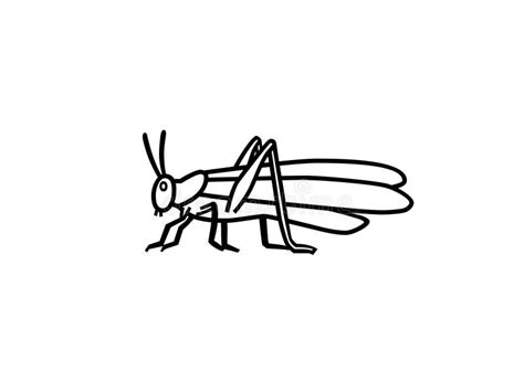 Locust. Drawing Illustration Stock Illustration - Illustration of pest ...