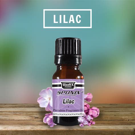 Lilac Fragrance Oil Aromatic Scented Perfume Oil Perfume 10 mL by ...