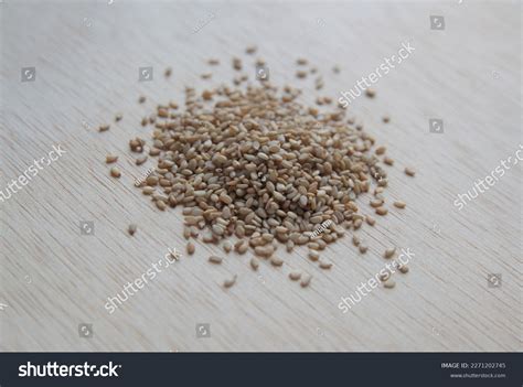 Seeds Sesame Sesamum Indicum Plant Genus Stock Photo 2271202745 ...