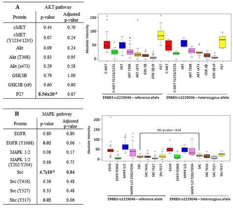 Reverse Phase Protein array analysis correlating differential ...