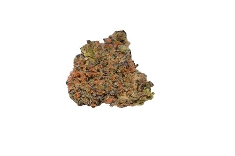 Dosido Marijuana Strain, AKA Dosi Doe, Dosi, or Do-Si-Dos