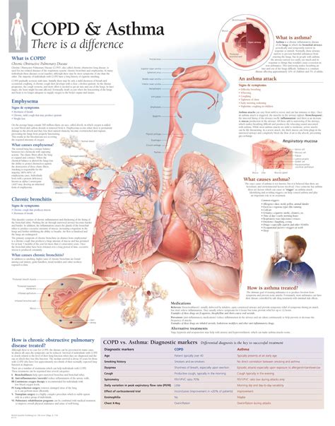 COPD & Asthma | Scientific Publishing