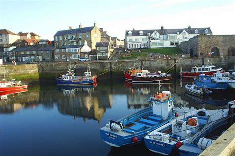 Stunning pictures of the North | Farne islands, Places to travel ...