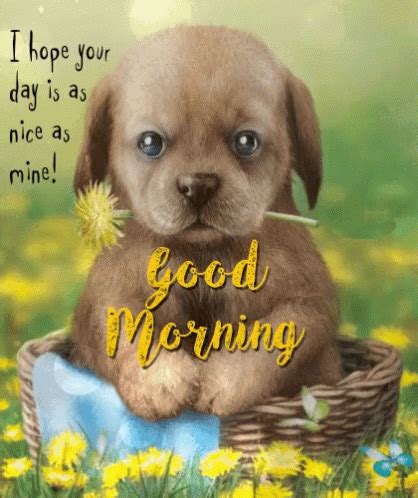 Good Morning Puppy GIF - GoodMorning Puppy Cute - Discover & Share GIFs ...