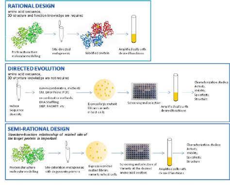 Figure 1 from Protein Engineering Applications on Industrially ...