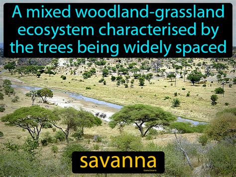 Savanna Definition & Image | GameSmartz