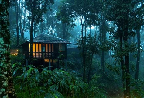 Best resort in Wayanad, Kerala #resorts in wayanad #nature resorts in ...