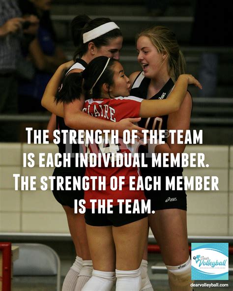 17 Volleyball Coach Quotes Inspired By My Volleycats Elite Players