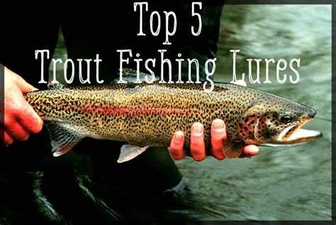 Top 5 Best Trout Lures - SkyAboveUs