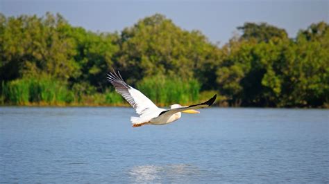 Bahir Dar – Lake Tana Monasteries and Blue Nile falls - Gelila Ethiopia ...