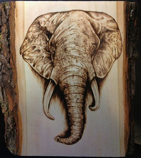 elephant wood burning | Wood burning patterns, Wood burning, Wood ...