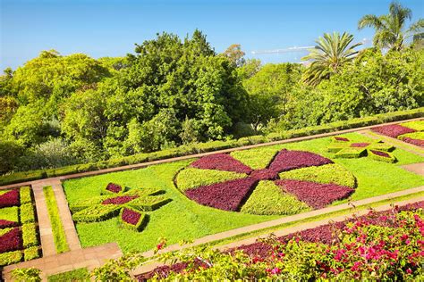 The Madeira Botanical Garden - Funchal Photograph by Jan Wlodarczyk ...