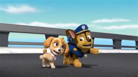 Chase x Skye - PAW Patrol - Animated Couples Photo (40110259) - Fanpop