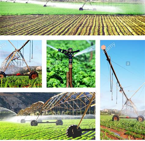 Types Of Irrigation Irrigation Types Different Systems Agriculture ...