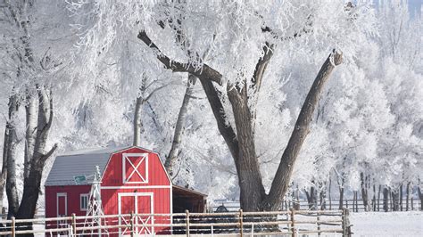 Fort Collins weather: Consistent snow in February sets records