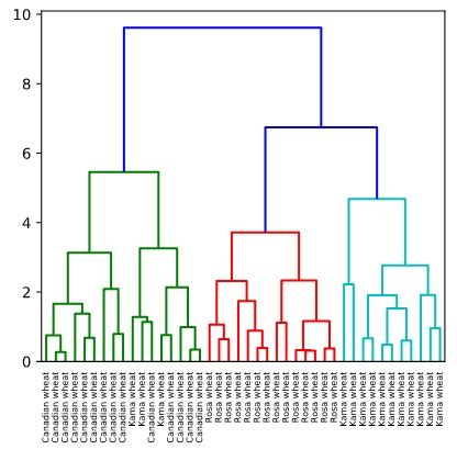 cluster analysis - Interpreting Dendrogram for hierarchical clustering ...