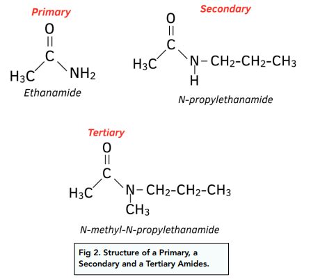 Amine Vs Amide Structure