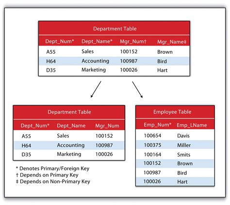 Relational Database Design With Filemaker Pro Rarter - supernalmichael