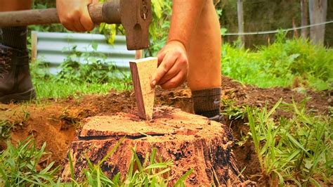 How to Remove a Tree Stump with a Wedge - YouTube