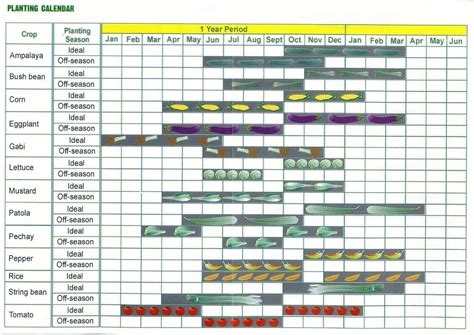 Planting Calendar for the Philippines