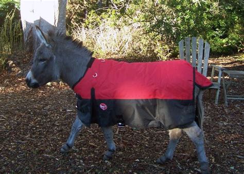 MINIATURE DONKEY Waterproof Blanket (adj. 48" to 54") | Waterproof ...