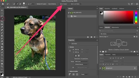 How to Remove Background Photoshop - Knowdemia