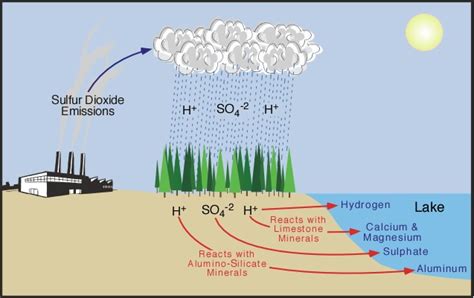 Acid in the Water: A Global Crisis That Needs Urgent Action - Seeker's ...