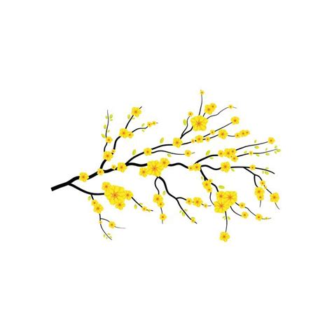 Hoa Mai / Apricot Flower - Yellow Blossom Vector PNG