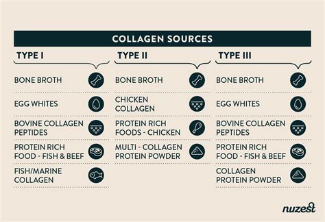 What is Collagen? Types, Sources and Benefits of Supplementation ...