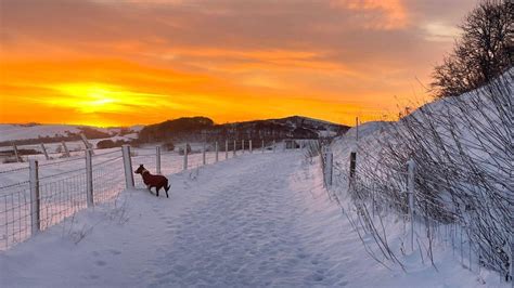 Weather: Snow and ice weather warning for Derbyshire - BBC News