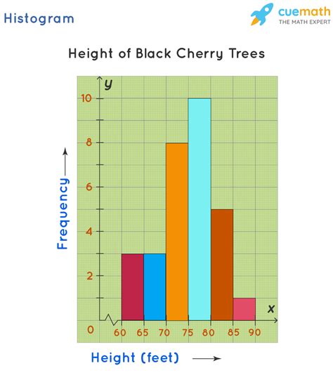 Diagram Of A Histogram