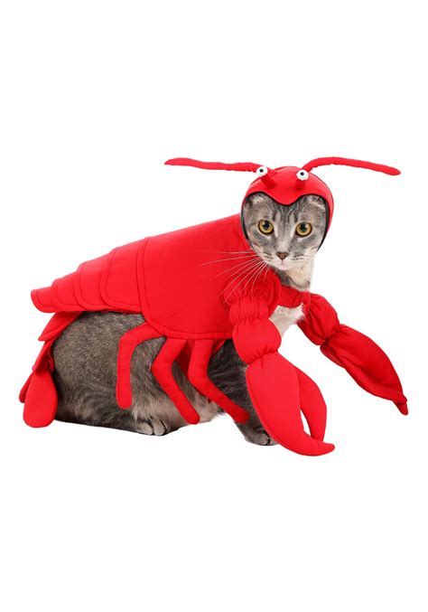 Lobster Costume for Dogs