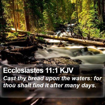 Ecclesiastes 11 Scripture Images - Ecclesiastes Chapter 11 KJV Bible ...