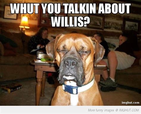 Boxer Dog Meme | FunnyPictures.in