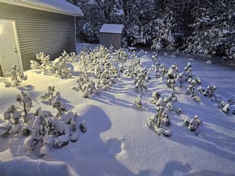 N.J. weather: See photos from Sussex County town hit by a foot of snow ...