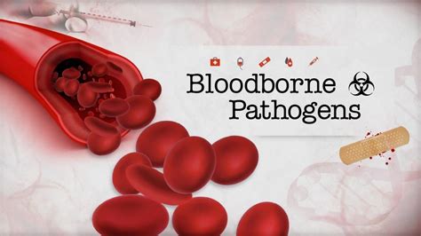 10 Shocking Facts About Bloodborne Pathogens & Sharps Management ...