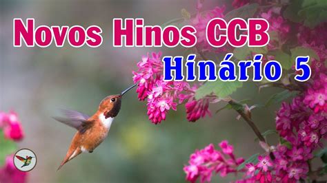 Novos Hinos CCB - Hinos da Congregação Cristã no Brasil - Hinos CCB ...