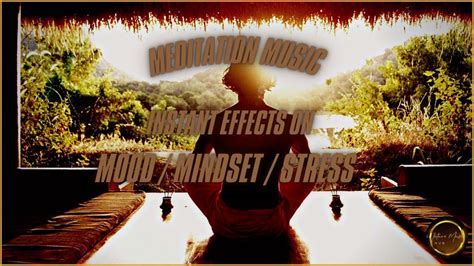 Healing Music to Reduce Stress & Anxiety- Anti-Anxiety Cleanse for Mind ...