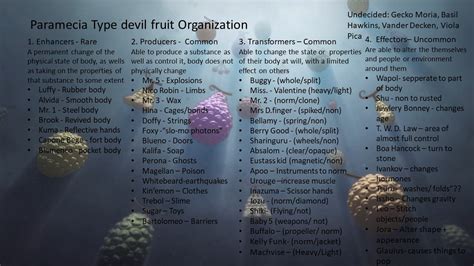 Paramecia Type Devil fruit Organization : r/OnePiece