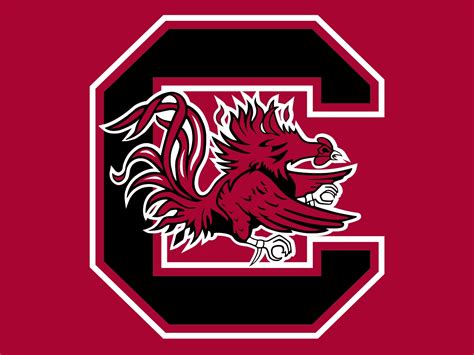 South carolina gamecocks, logo and colors of team free image download