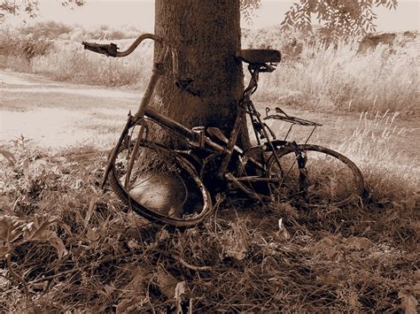 Old rusty bike | Bike, Rusty, Olds