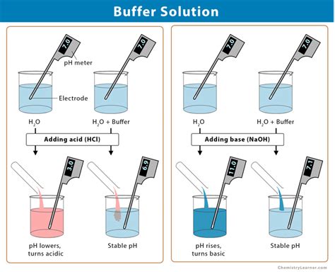 Buffer Solution: Definition, Examples, and Preparation