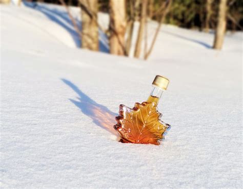 maple_syrup_snow-740768 | Maple Grove Campground