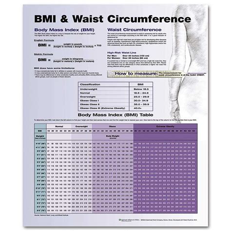 Waist Circumference Chart By Country