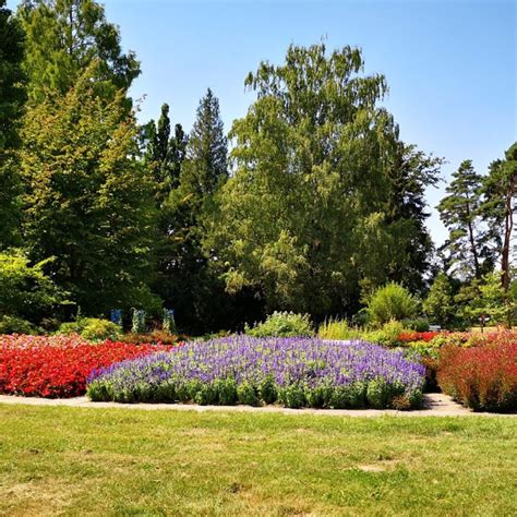 Immerse Yourself in Hesse (Germany) 's 25 Best gardens and natural ...