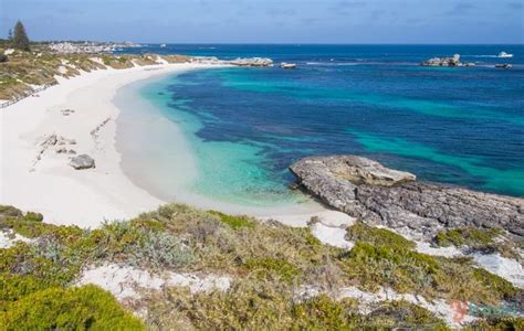 Why Rottnest Island Should Be On Your Australian Bucket List