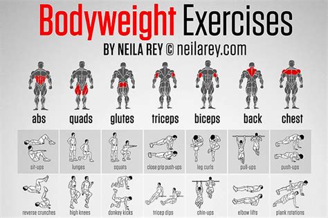 Infographic: Body Weight Exercises | Body weight workout men ...