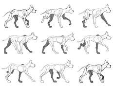 8 Dog walk reference ideas | animation reference, dog walking, animal ...