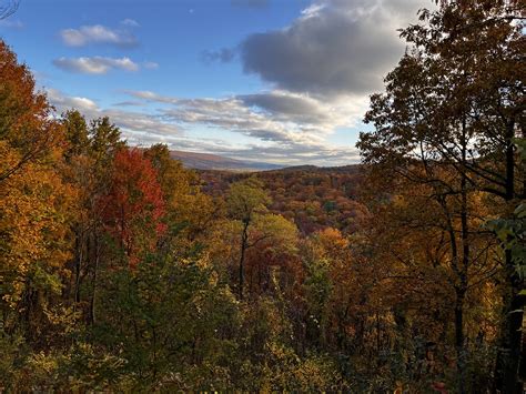 Fall colors in the Tuscarora State Forest, Pennsylvania | Flickr